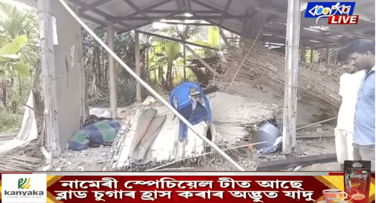 শোণিতপুৰৰ ৰঙাপৰাৰ পামবস্তীত বনৰীয়া হাতীৰ আক্ৰমনত এগৰাকী মহিলা নিহত হোৱাৰ লগতে আহত হয় এটি ৪ বছৰীয়া শিশু